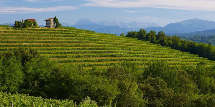 Aziende Aperte, per promuovere i piccoli comuni del territorio della Bassa friulana