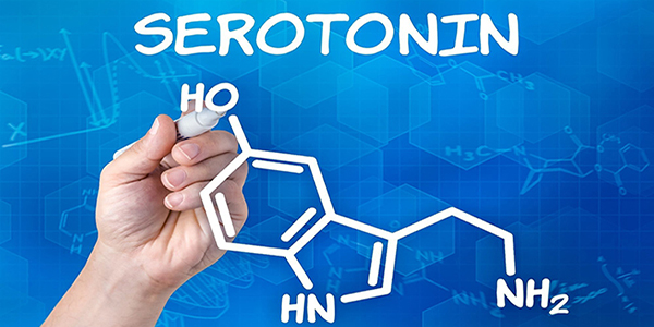 AJ-Com.Net | Newsroom - Serotonina